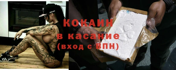 шишки Арсеньев