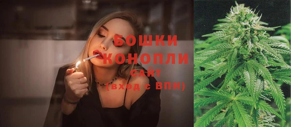 шишки Арсеньев
