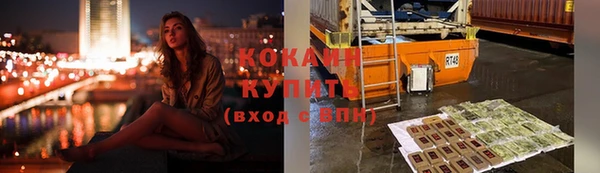 шишки Арсеньев