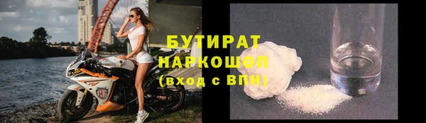 шишки Арсеньев