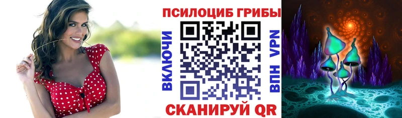 Псилоцибиновые грибы Cubensis  гидра ссылки  Боготол  закладка 
